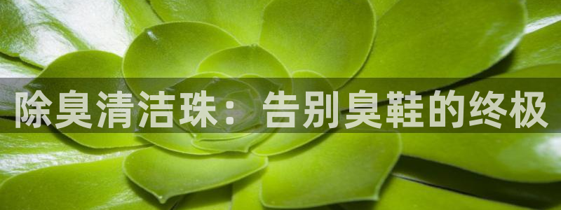 尊龙凯时人生就是搏首页