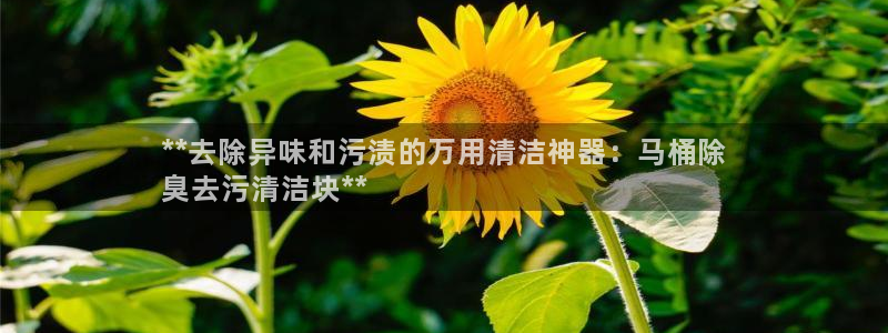 尊龙官网在哪里