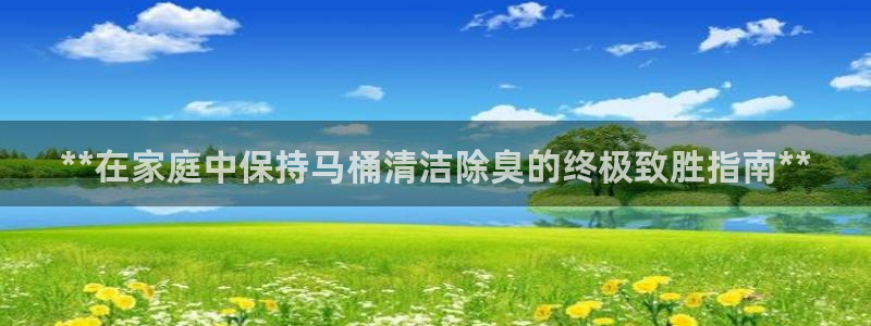 尊龙登录：**在家庭中保持马桶清洁除臭的终极致胜指南**