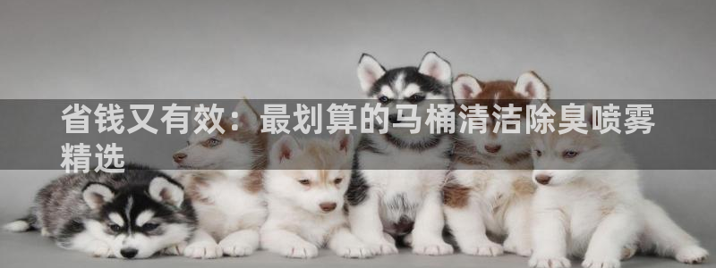 尊龙凯时官方网站下载