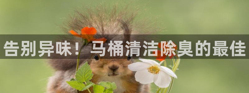 尊龙凯时 - 人生就是搏手机登录：告别异味！马桶清洁除臭