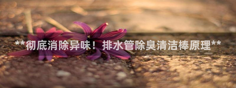 国际凯时ag优质运营