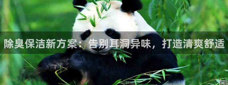 z6com尊龙凯时：
