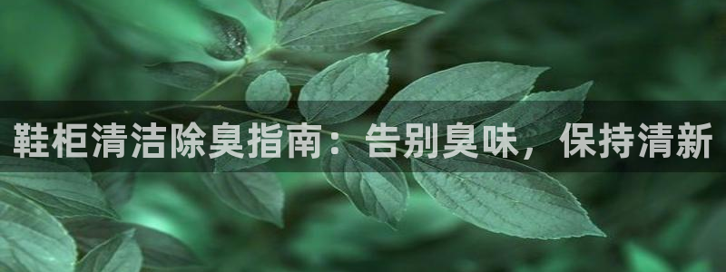 凯时国际网站域名