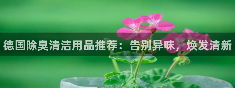 尊龙人生就是博用现金