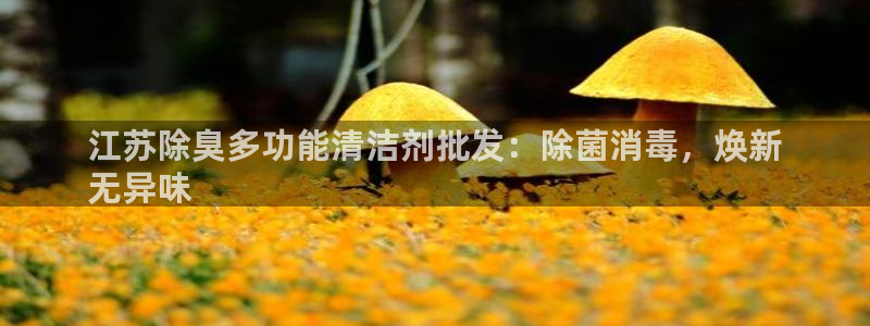 尊龙实业 吴友良：江苏除臭多功能清洁剂批发：除菌消毒，焕