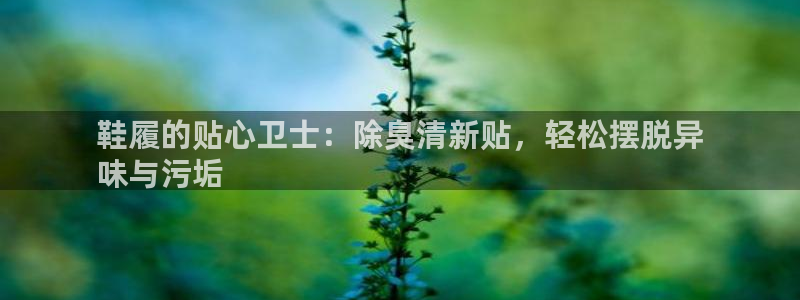 尊龙凯时防屏蔽网址