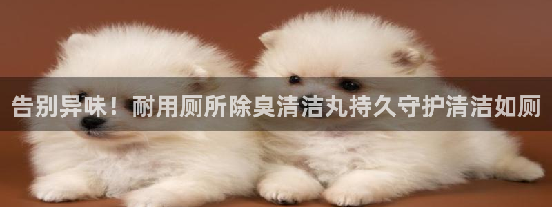 凯时国际app首页下