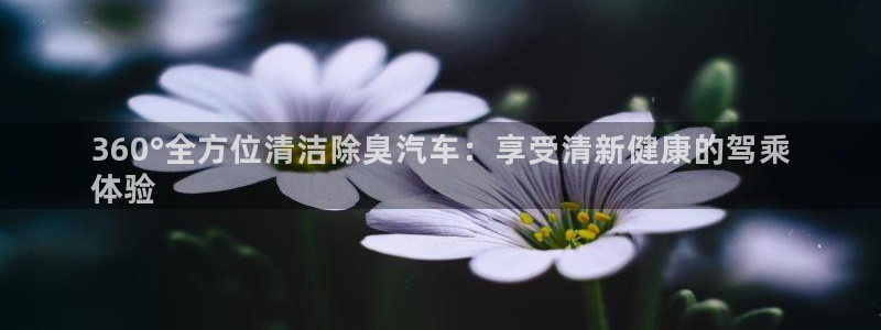 尊龙凯时官网版登录：360°全方位清洁除臭汽车：享受清新