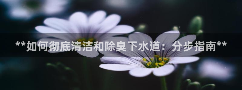 尊龙专访视频：**如何彻底清洁和除臭下水道：分步指南**