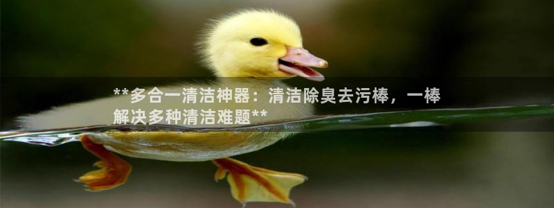 尊龙凯时网页版：**多合一清洁神器：清洁除臭去污棒，一棒
解