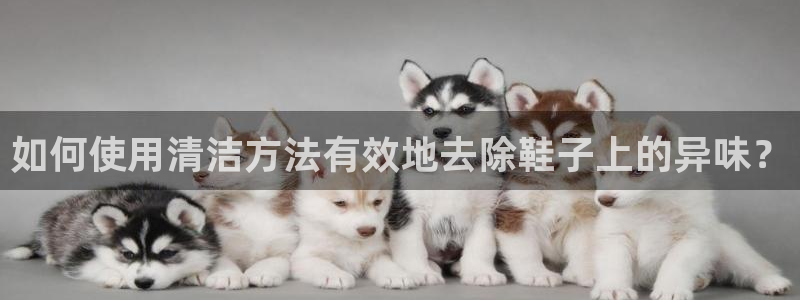 尊龙d88官网准认来就送38