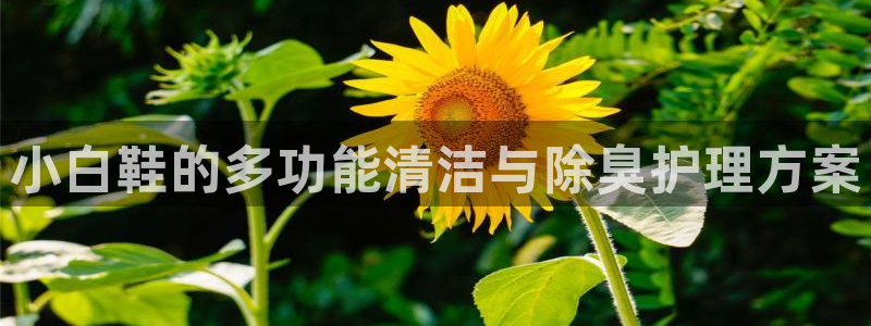 ag尊龙凯时集团