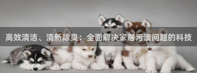 尊龙凯时网站怎么样