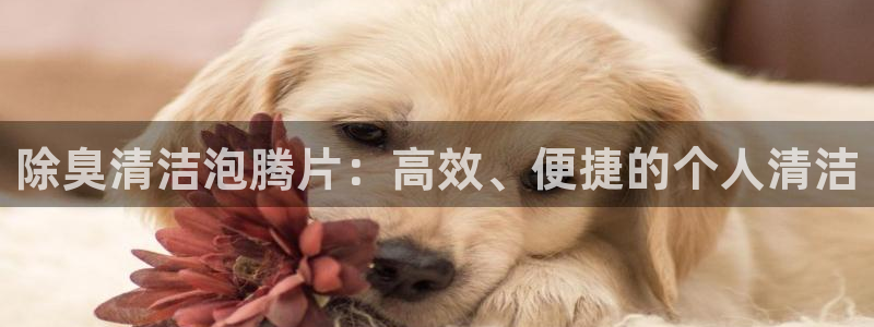 尊龙app下载官网