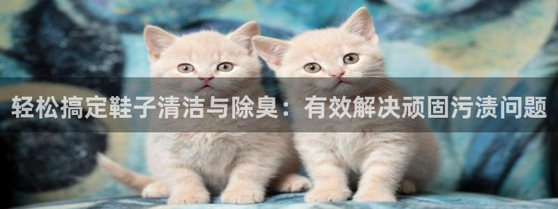 尊龙百度百科