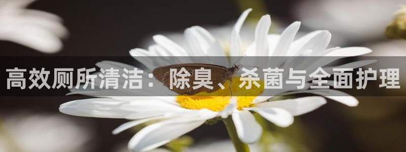 尊龙凯时ag旗舰