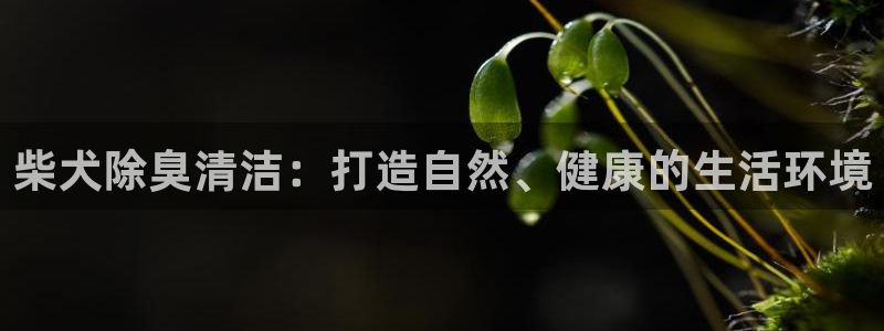 d88尊龙手机客户端下载