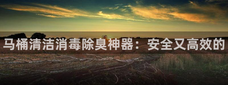 尊龙体育怎么样