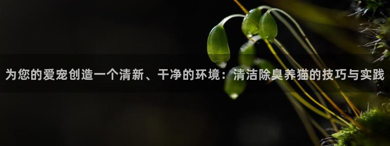 尊龙贴吧