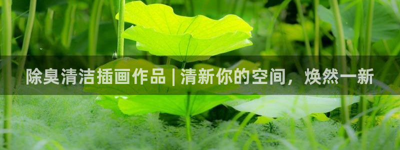 尊龙手机客户端app