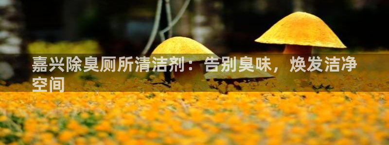 尊龙凯时老板是谁：嘉
