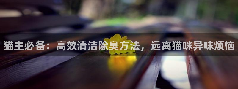 尊龙下载推荐网站