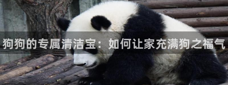 凯时尊龙官网网址