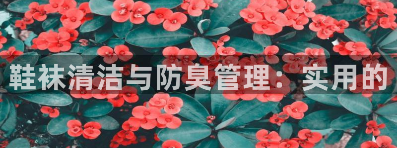 尊龙凯时口碑好吗