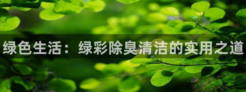 尊龙凯时 人生就是搏客服