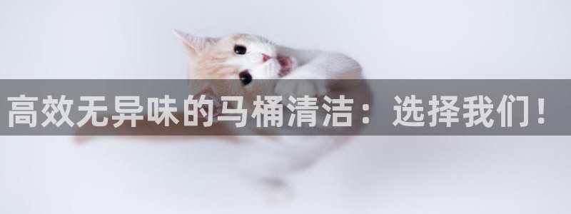 尊龙凯时手机版·(中国)官方网站