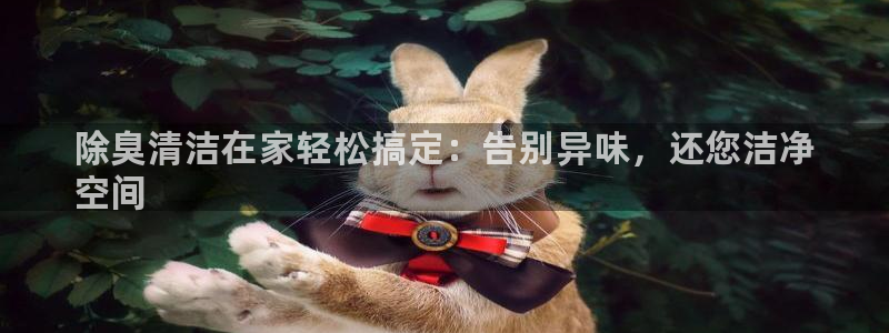 尊龙人生就是博登录首页：除臭清洁在家轻松搞定：告别异味，