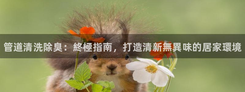 尊龙凯时取款不成功：管道清洗除臭：終極指南，打造清新無異