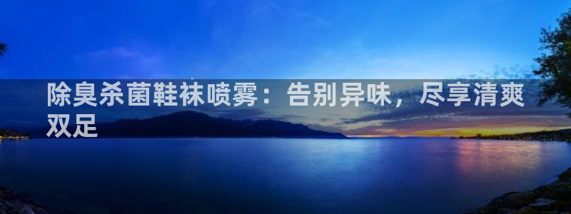 尊龙官网手机版下载