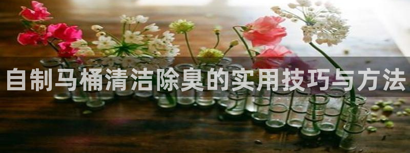 尊龙凯时网站怎么样：自制马桶清洁除臭的实用技巧与方法