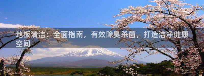 凯时旗舰厅App下载：地板清洁：全面指南，有效除臭杀菌，