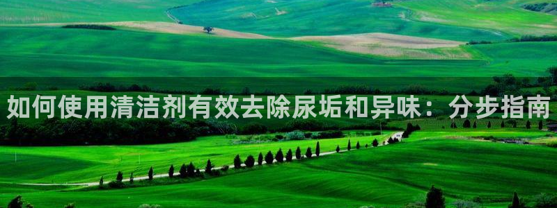 尊龙APP客户端平台：如何使用清洁剂有效去除尿垢和异味：