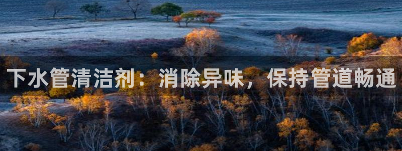 尊龙凯时家居是品牌吗