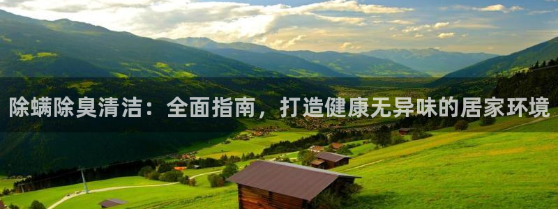 尊龙凯时人生就是搏·(中国)官网：除螨除臭清洁：全面指南