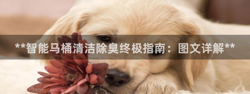 尊龙凯时网站不让提款：**智能马桶清洁除臭终极指南：图文