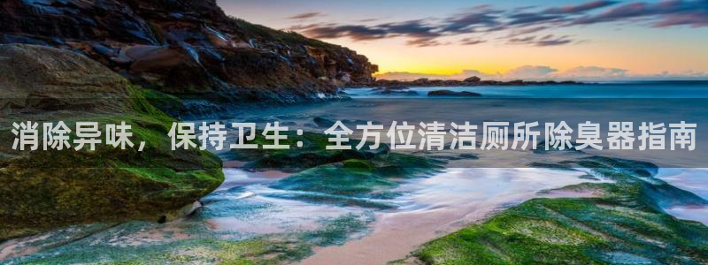 尊龙百度百科：消除异味，保持卫生：全方位清洁厕所除臭器指