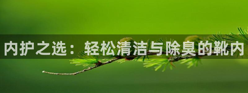 尊龙ag旗舰厅下载