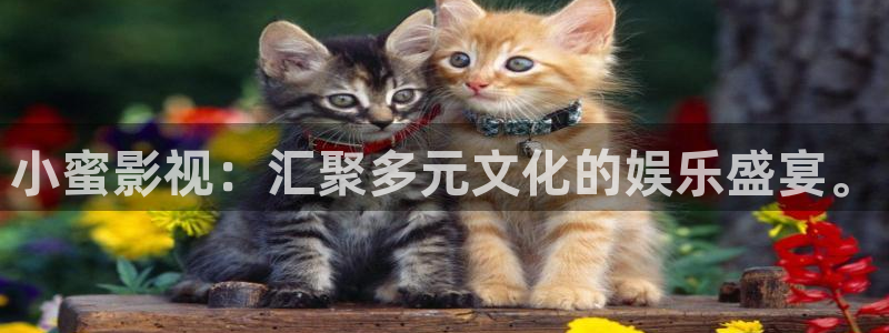 在线电影苹果：小蜜影视：汇聚多元文化的娱乐盛宴。