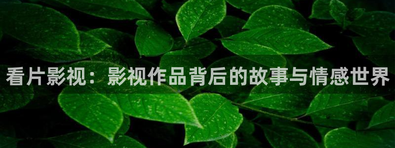 苹果影视：看片影视：影视作品背后的故事与情感世界
