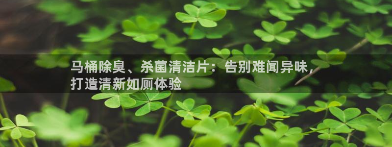 尊龙t300和t400哪个好：马桶除臭、杀菌清洁片：告别难闻